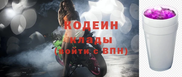 твердый Козельск