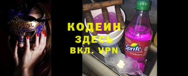 твердый Козельск