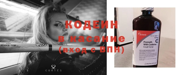 твердый Козельск