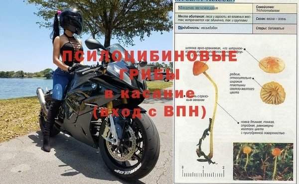 тгк Козловка