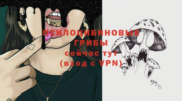 твердый Козельск