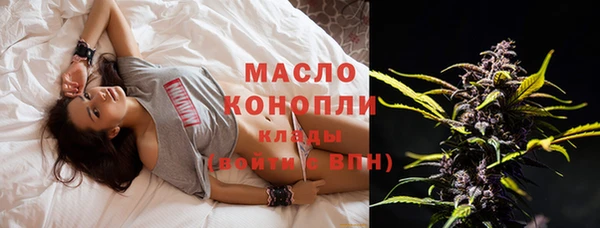 твердый Козельск