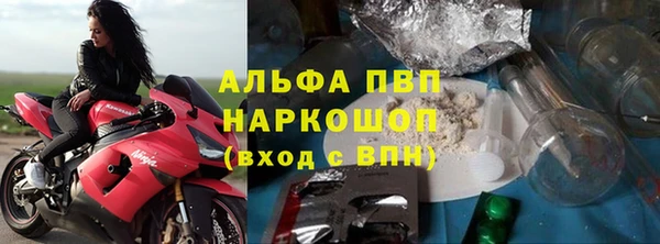 твердый Козельск