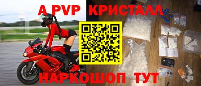 стаф Кинель