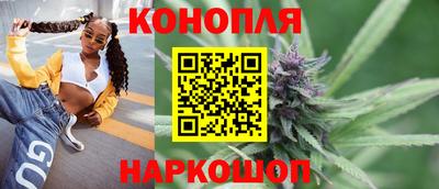стаф Кинель
