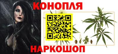 стаф Кинель