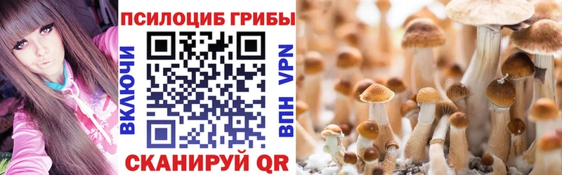 Галлюциногенные грибы прущие грибы  Нижневартовск 